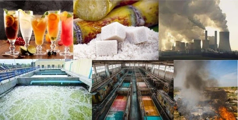 202309071017279fa121c525d541ddb4a11c58e15a2431 202309071017279fa121c525d541ddb4a11c58e15a2431