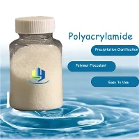 Solid-Liquid Separation katjónískt pólýakrýlamíð flocculant fyrir áhrifaríkt