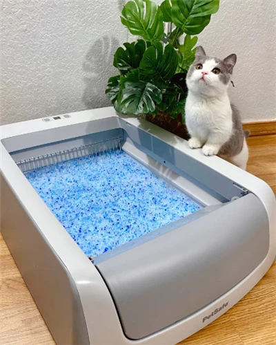 Tofu kattasand ókeypis sýnishorn fyrir gæludýrahreinsiefni Heildsölu kísilgel kattasand